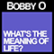 What's the Meaning of Life (Single)