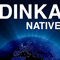 Native - Dinka (Dinka, Chris Reece, Leventina, EDX, Daniel Portman)