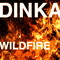 Wildfire (Single)