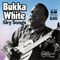 Sky Songs - Bukka White (Booker T. Washington, 'Bukka' White)
