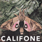 Insect Courage (EP) - Califone