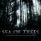Sea Of Trees