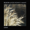 Grain (Split) - Belborn