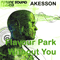 Without You / Flavour Park (EP) - Akesson, Bjorn (Bjorn Akesson)