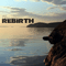 Rebirth - Dhamika