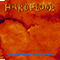 Mr. Anderson / Fish & Chips (Single) - Hardfloor