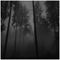 The Cure - A Forest (Mitch Murder Cover) - Mitch Murder (Johan Bengtsson , Stratos Zero)