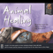 Animal Healing - Wood, Perry (Perry Wood)