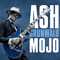 Mojo - Ash Grunwald (Grunwald, Ash)