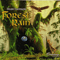 Forest Rain - Evenson, Dean (Dean Evenson)