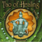 Tao Of Healing - Evenson, Dean (Dean Evenson)