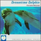 Dreamtime Dolphin - Michell, Chris (Chris Michell, Christa Michell)