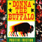 Positive Friction - Donna The Buffalo