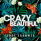 Crazy Beautiful (Ep) - Grammer, Andy (Andy Grammer)