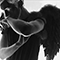 Angel Baby (Acoustic) - Troye Sivan (Troye Sivan Mellet)