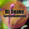 Spring Awakening (Single) - DJ Snake (William Grigahcine)