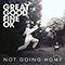 Not Going Home (Single) - Great Good Fine OK (Great Good Fine Okay)