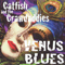 Venus Blues - Catfish & The Crawdaddies