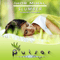 Pulsar Recordings (CD 137: Ihor Mihal - Slumber)-Pulsar Recordings
