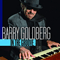 In The Groove - Goldberg, Barry (Barry Goldberg, Barry Joseph Goldberg)