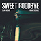 Sweet Goodbye (SLVR Remix) - Robin Schulz (Schulz, Robin Alexander)