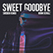 Sweet Goodbye (Svidden Remix) - Robin Schulz (Schulz, Robin Alexander)