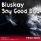 Say Good Bye - BluSkay (Serghei Cocimirca)