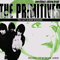 Everything's Shining Bright (CD 1) - Primitives (The Primitives)