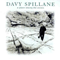 A Place Among the Stones - Spillane, Davy (Davy Spillane)