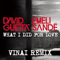 What I Did For Love (VINAI Remix) [Single] - David Guetta (Pierre David Guetta)