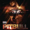 Planet Pit (Deluxe Edition) - Pitbull (USA) (Armando Christian Perez)
