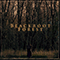 Blackroot Forest (Single)