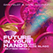 Future In Your Hands (feat. Aloe Blacc) (Skytech Remix) (Single)