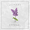 Eternal (Single) - Johari