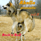 Akella Presents, Vol. 06 - Rock 'n' Roll (CD 1)