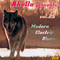 Akella Presents, Vol. 25 - Modern Electric Blues (CD 1) - Akella Presents Blues Collection