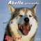 Akella Presents, Vol. 48 - Zydeco! (CD 1)