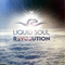 Revolution - Liquid Soul (Nicola Capobianco)