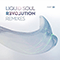 Revolution Remixes Pt. 01 (EP) - Liquid Soul (Nicola Capobianco)