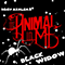 Black Widow (Iggy Azalea cover) (Single) - Animal In Me (The Animal In Me / TAIM / ex-