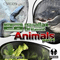 Animals, Part 1 (EP)