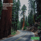 Sequoia, Part 1 (EP) - Namatjira (NLD) (Joost van der Vleuten)
