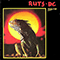 Animal Now (Reissue) - Ruts (The Ruts / Ruts DC / Ruts D.C.)