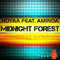 Hoyaa feat. Aminda - Midnight forest (EP) - Hoyaa (Zsolt Gasparik)