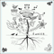 Lime Tree  (Single) - nano.RIPE