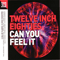 Twelve Inch Eighties: Can You Feel It (CD 1)