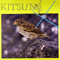 Kitsune X