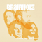These Days Are Gone - Brainholz