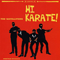 Hi Karate! - Satelliters (The Satelliters)