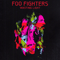 Wasting Light (Deluxe Edition: CD 1) - Foo Fighters